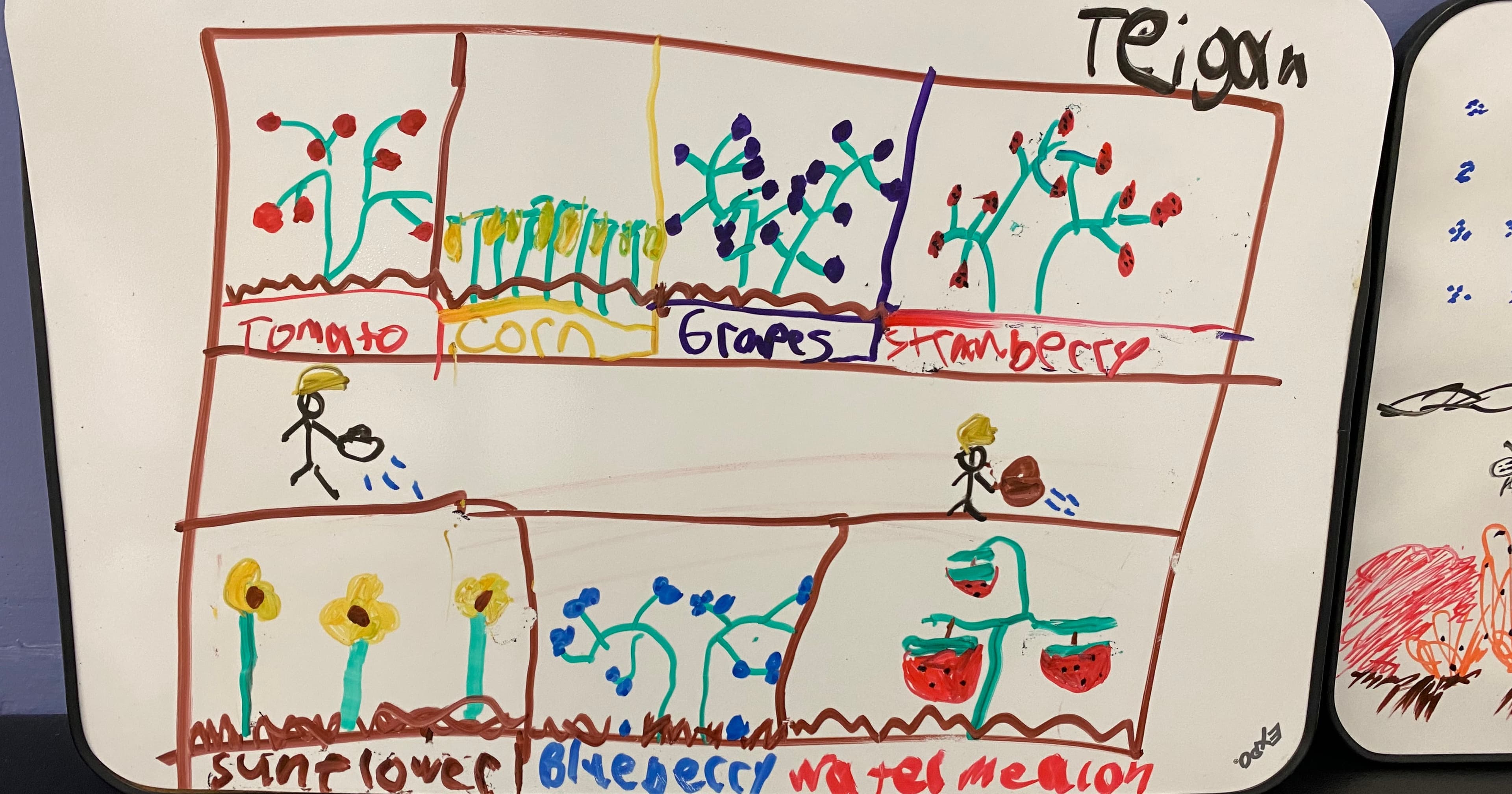 Blending Gardens and Geometry: Learning Area and Perimeter through Creative Design